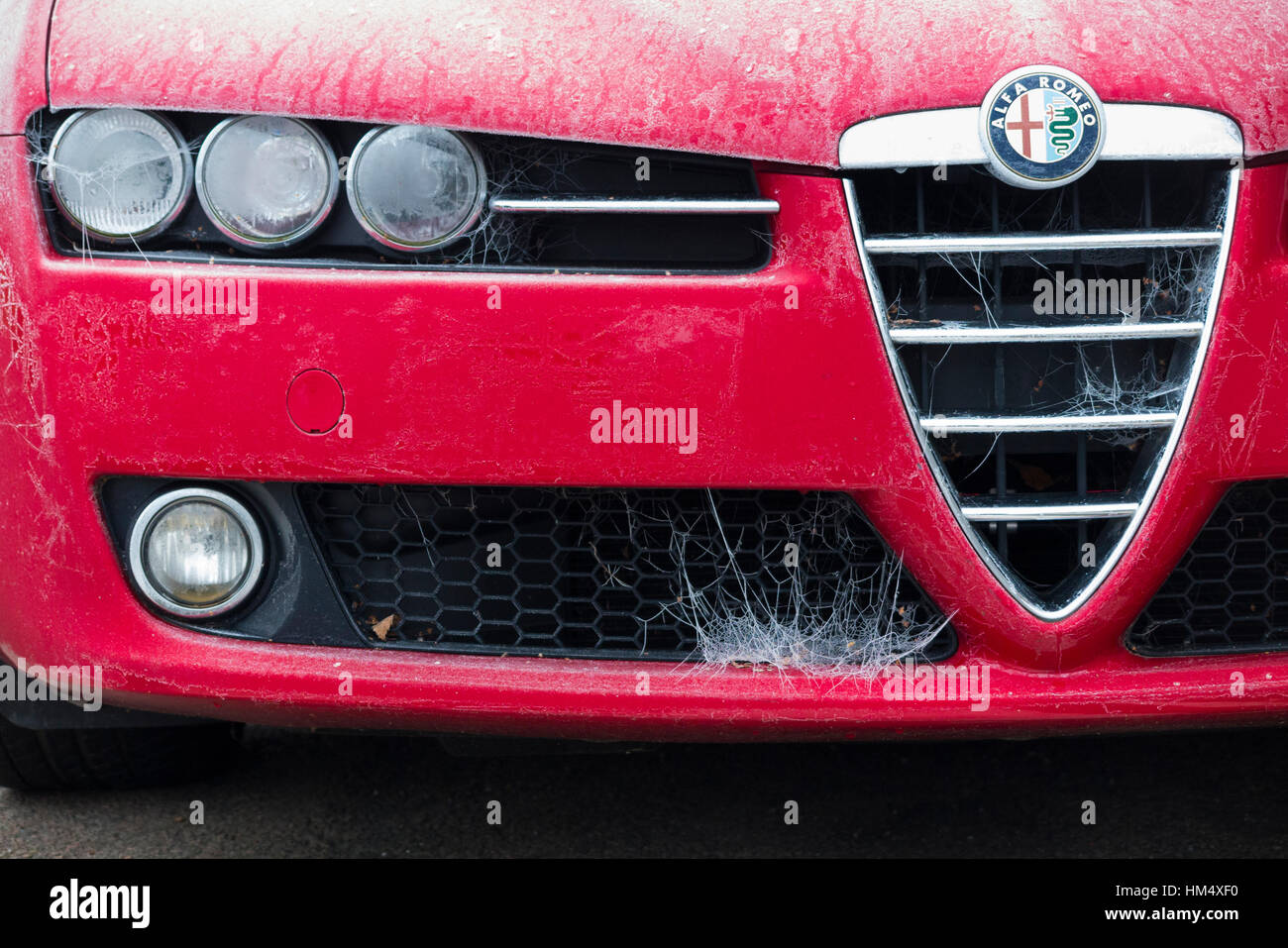 The front of a dirty ALFA ROMEO 159 car parked and covered in winter frost,  ice, and cobwebs through lack of driving and use. UK. (85 Stock Photo -  Alamy