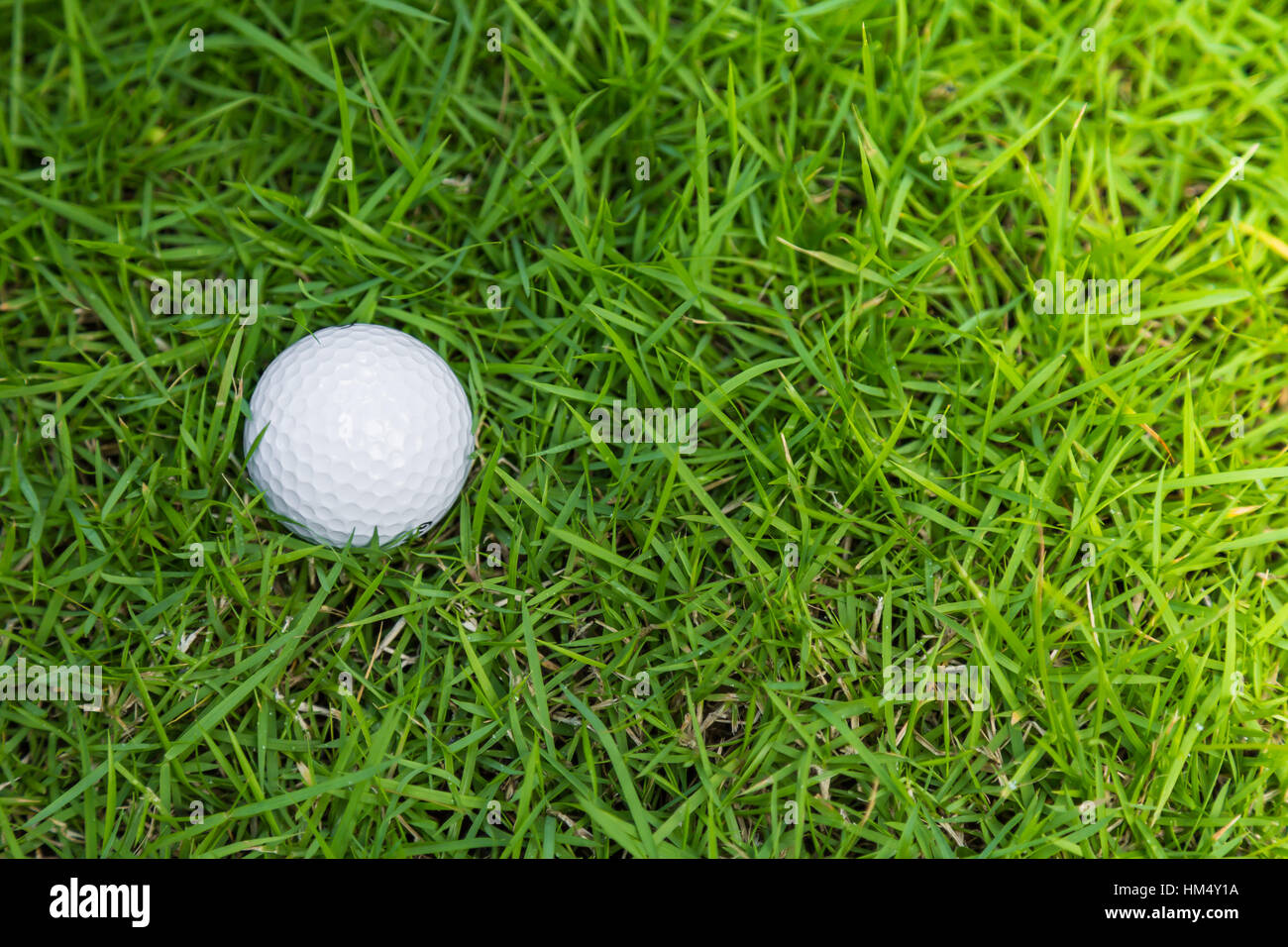 Golf ball on green grass Stock Photo Alamy