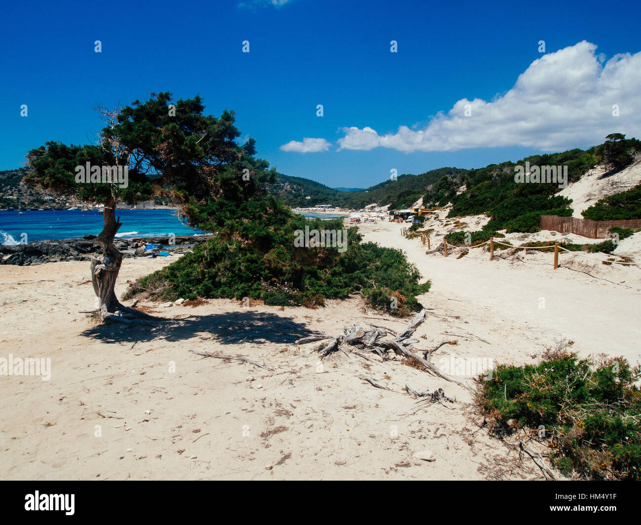 unspoilt nature in the Beach of Las Salinas, Ibiza, Spain Stock Photo -  Alamy