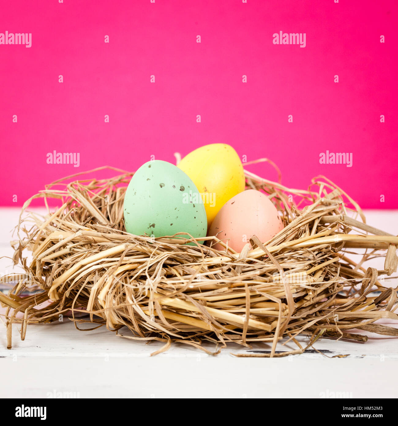 colored ester eggs in a bird nest with pink background Stock Photo