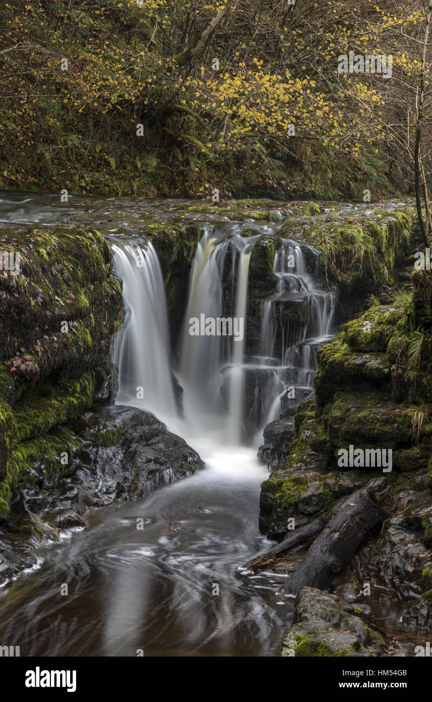 Sgwd y Pannwr, fall of the fuller, on Afon Mellte, Ystradfellte, four waterfalls, Brecon Beacons. Stock Photo