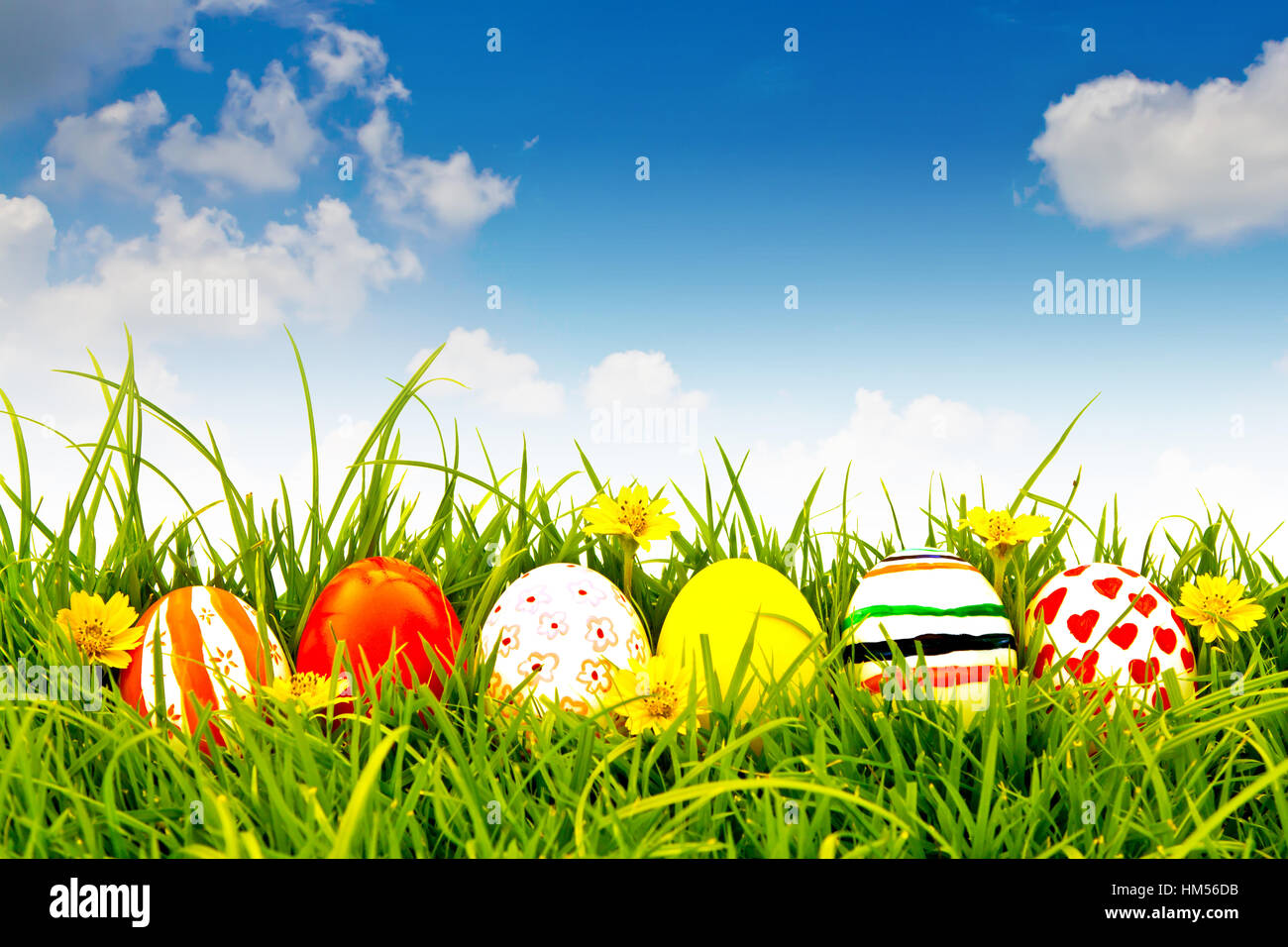 Easter Eggs with flower on Fresh Green Grass over blue sky Stock Photo ...