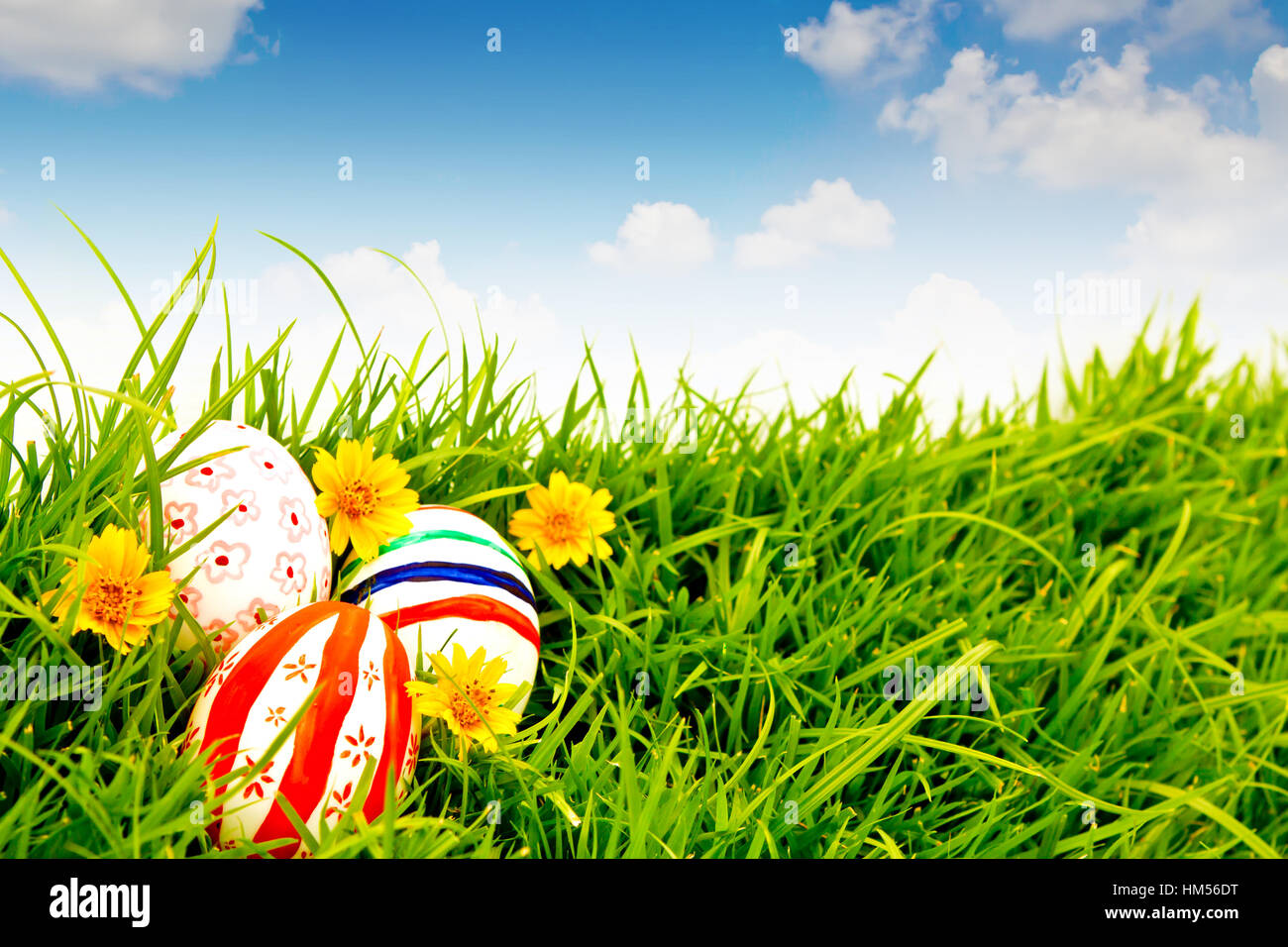 Easter Eggs with flower on Fresh Green Grass over blue sky Stock Photo ...