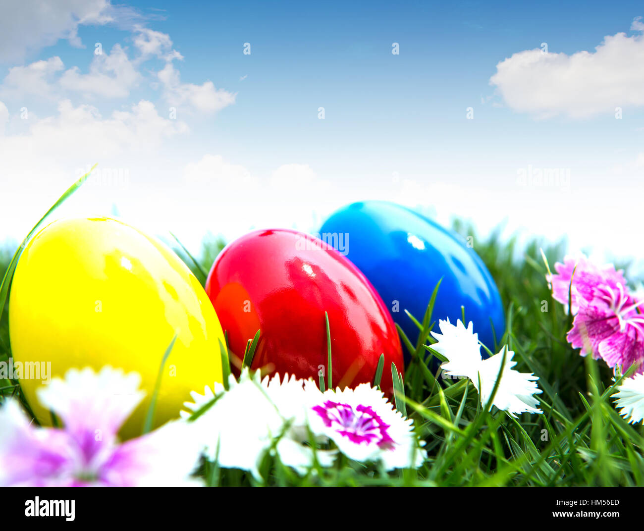 Easter eggs on green grass over white background Stock Photo - Alamy