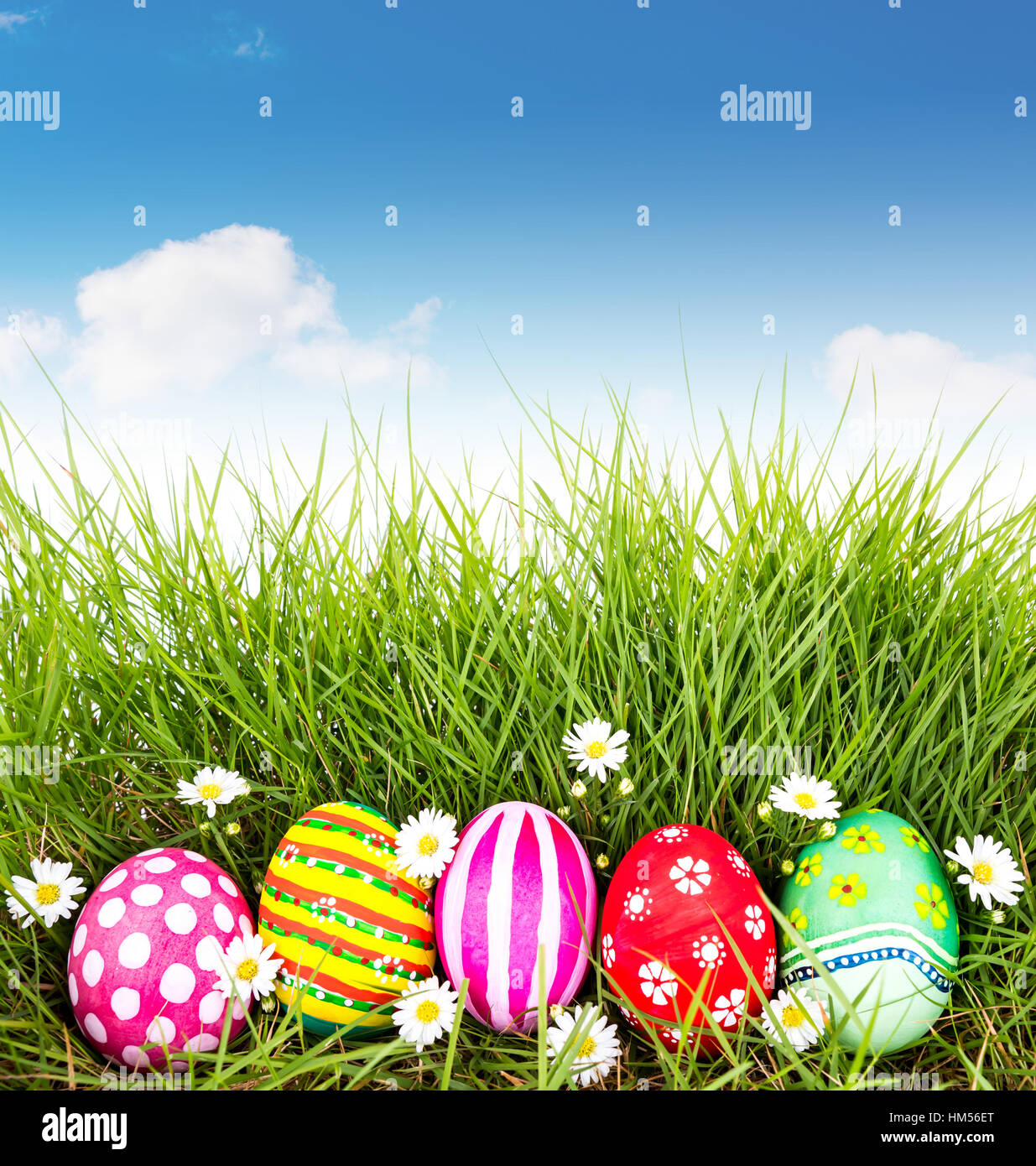 Easter Eggs with flower on Fresh Green Grass with blue sky Stock Photo ...