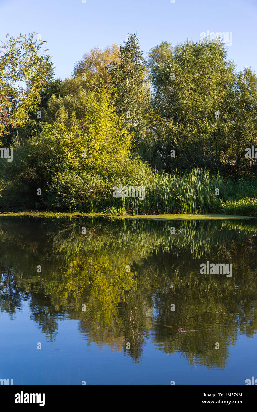 summer landscape with river in central Russia Stock Photo