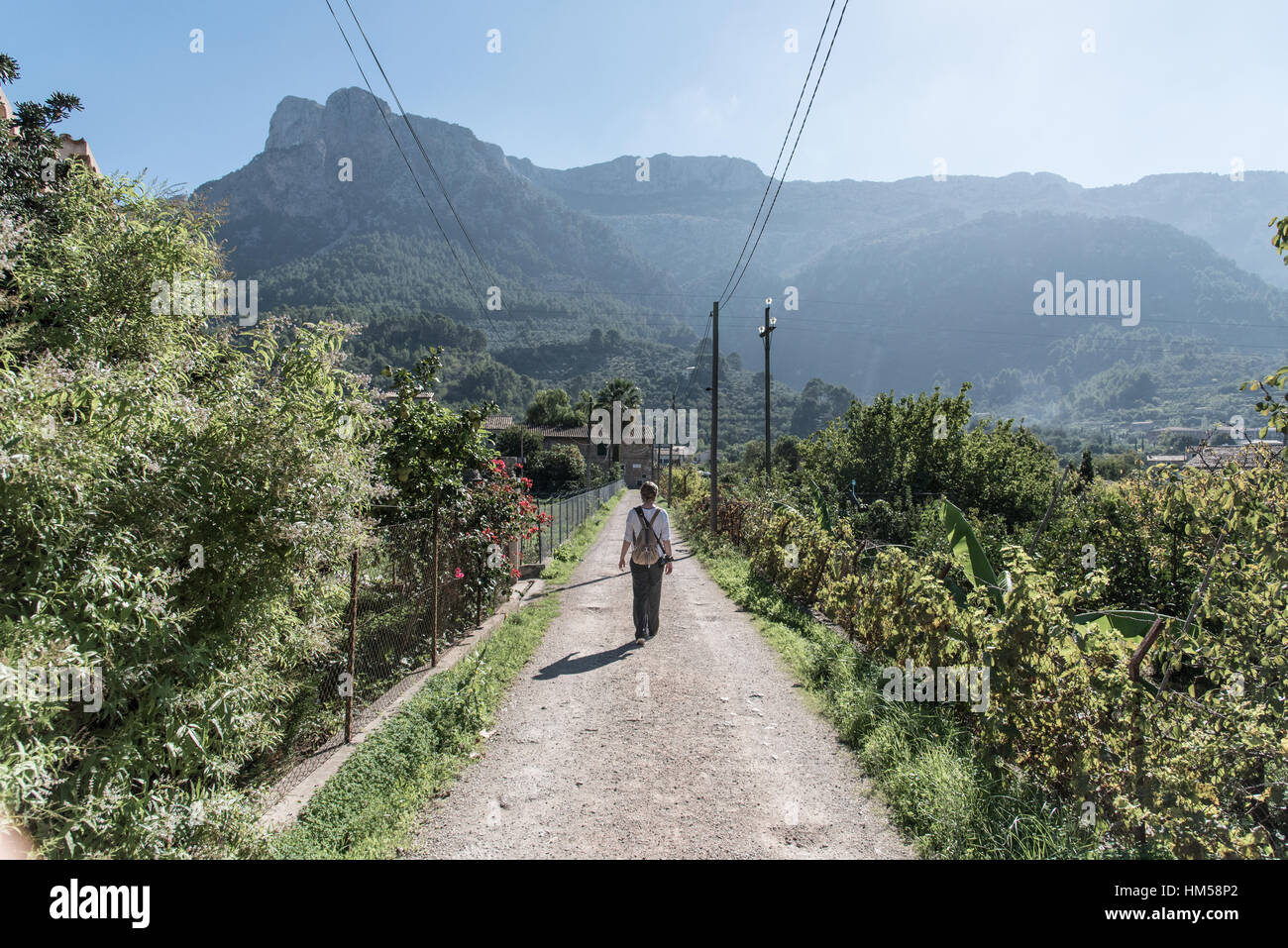 female person with backpack walking along straight narrow road through green vegetation with mountains in background near Soller, Majorca Stock Photo