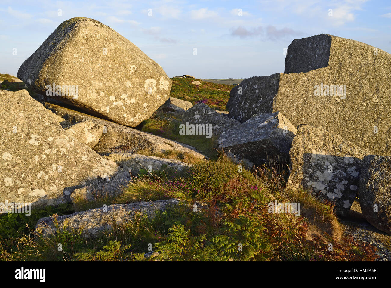 Huge granite blocks forming tors on Amalveor Downs near Zennor in Penwith, Cornwall. They are near Zennor Quoit. and also the south west coast path Stock Photo