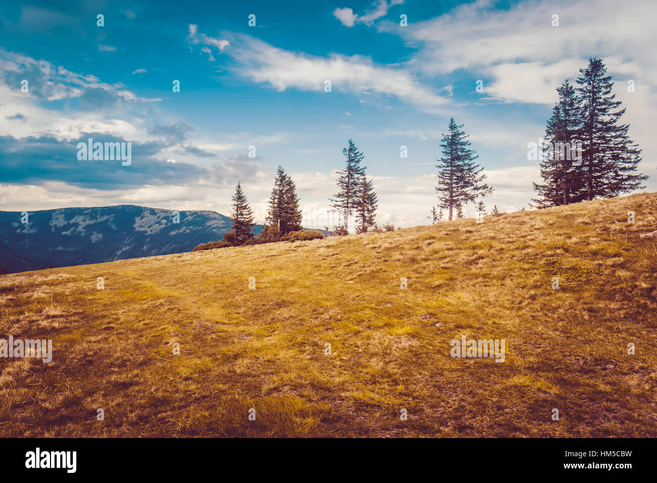 Mountain landscape with forest and blue sky Stock Photo - Alamy