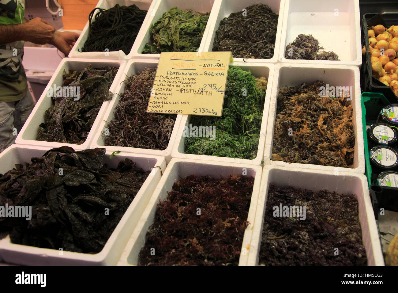 types of edible algae