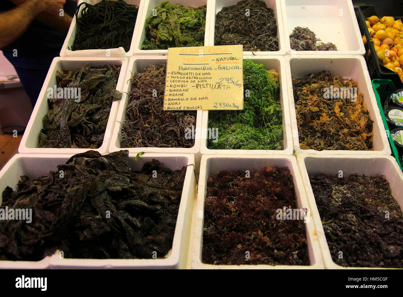 types of edible algae