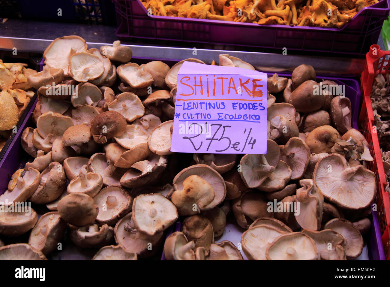Food stall selling Shiitake mushrooms inside central market building, city of Valencia, Spain