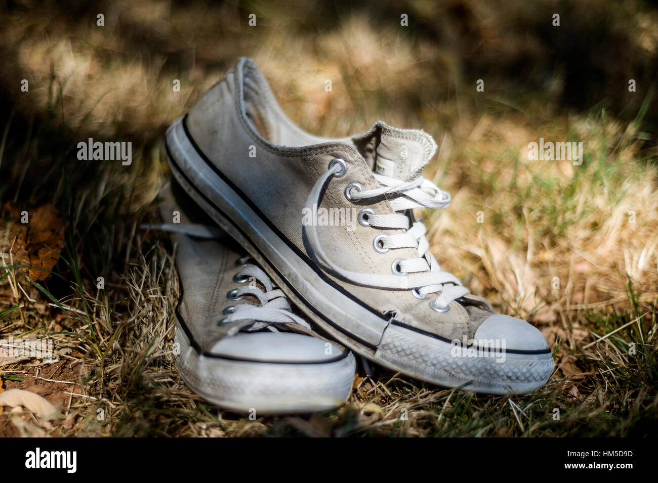 Graas hi-res stock photography and images - Alamy