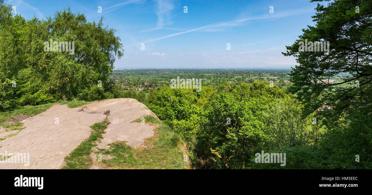 View over the treetops at Alderley edge, Cheshire on a sunny summer day. Stock Photo