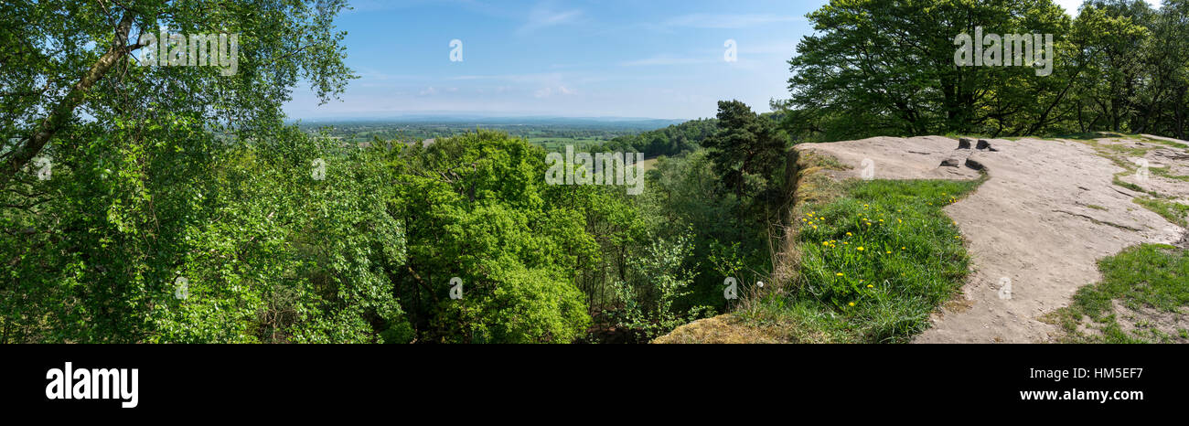 View over the treetops at Alderley edge, Cheshire on a sunny summer day. Stock Photo