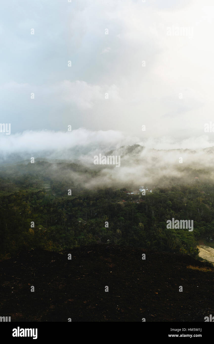 Aerial view of clouds over forest Stock Photo - Alamy