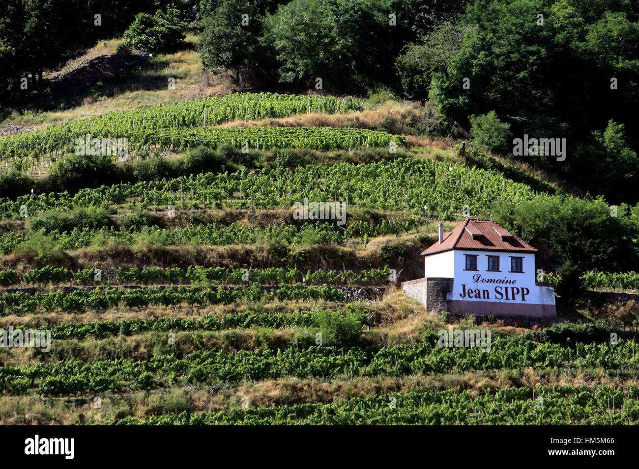 Domaine jean sipp hi-res stock photography and images - Alamy