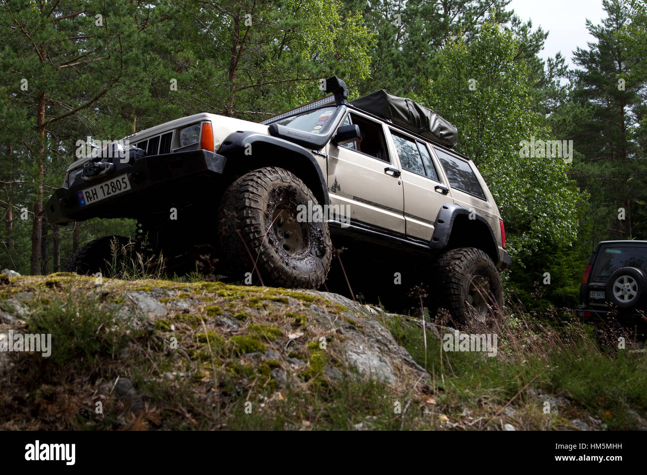 Driving in the woods with American four wheel drive cars Stock Photo