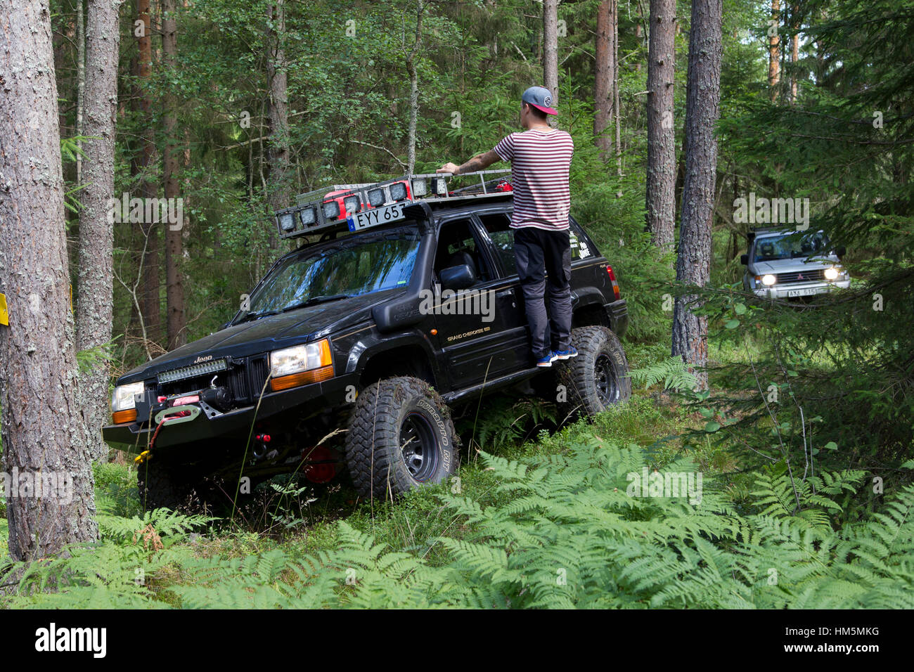 Driving in the woods with American four wheel drive cars Stock Photo