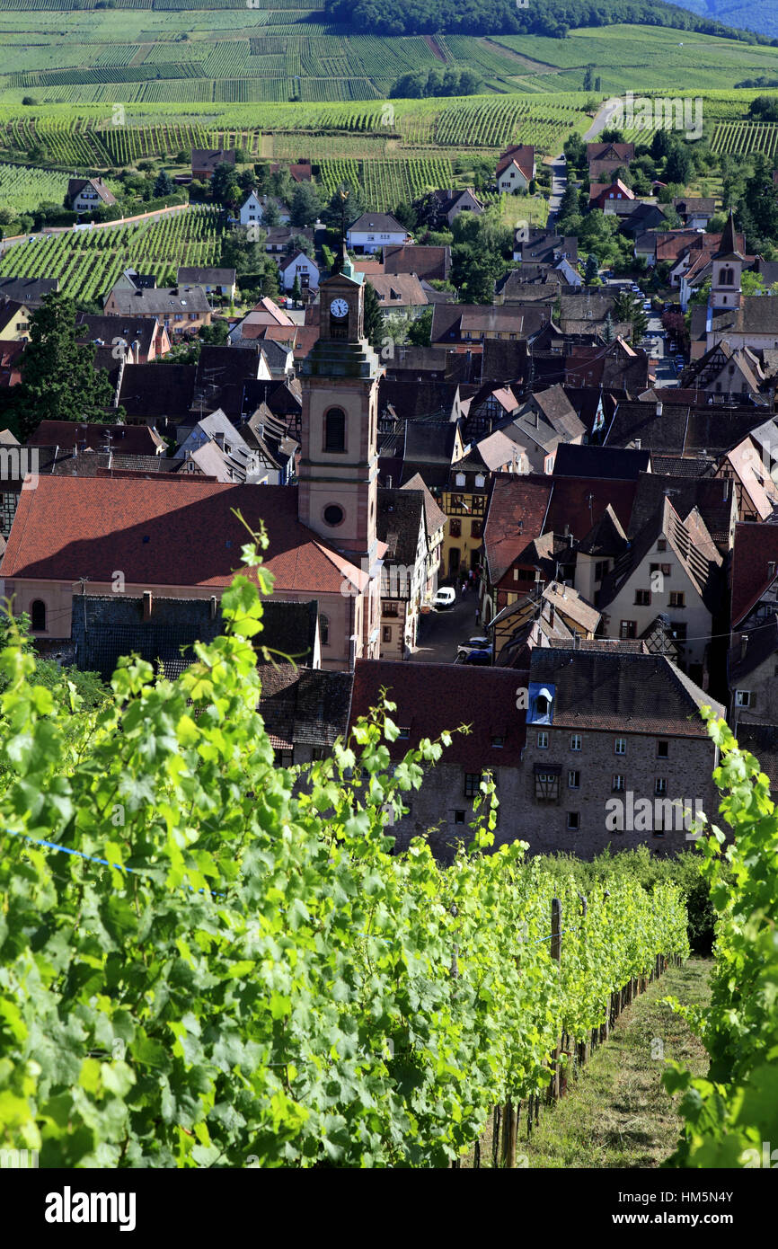 Vue aérienne sur le village et les vignobles. Riquewihr.  F 68 Stock Photo