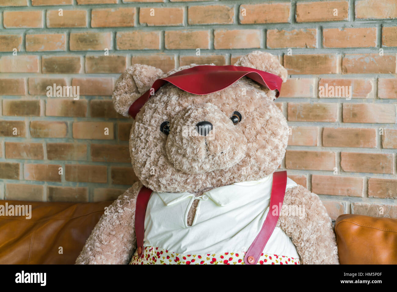 Cute teddy bear sitting on chair Stock Photo - Alamy