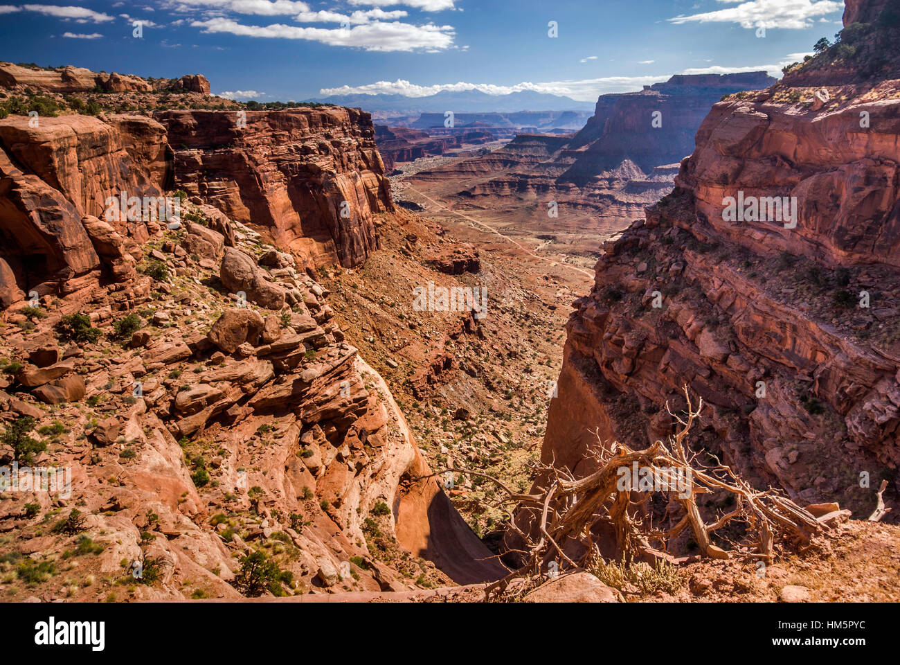 Shafer Canyon, Island In The Sky section, Canyonlands National Park, Utah, USA Stock Photo