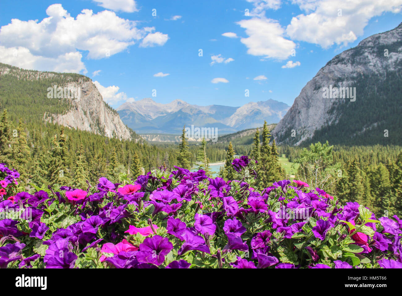 View through hanging baskets at Banff Springs Hotel in Banff, Alberta Canada Stock Photo