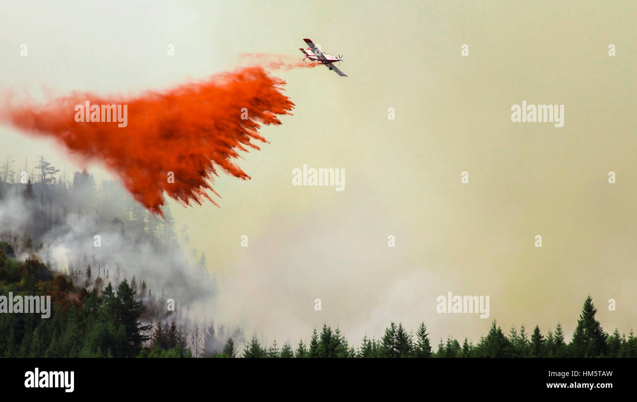 Aireplane for firefightng forest Stock Photo