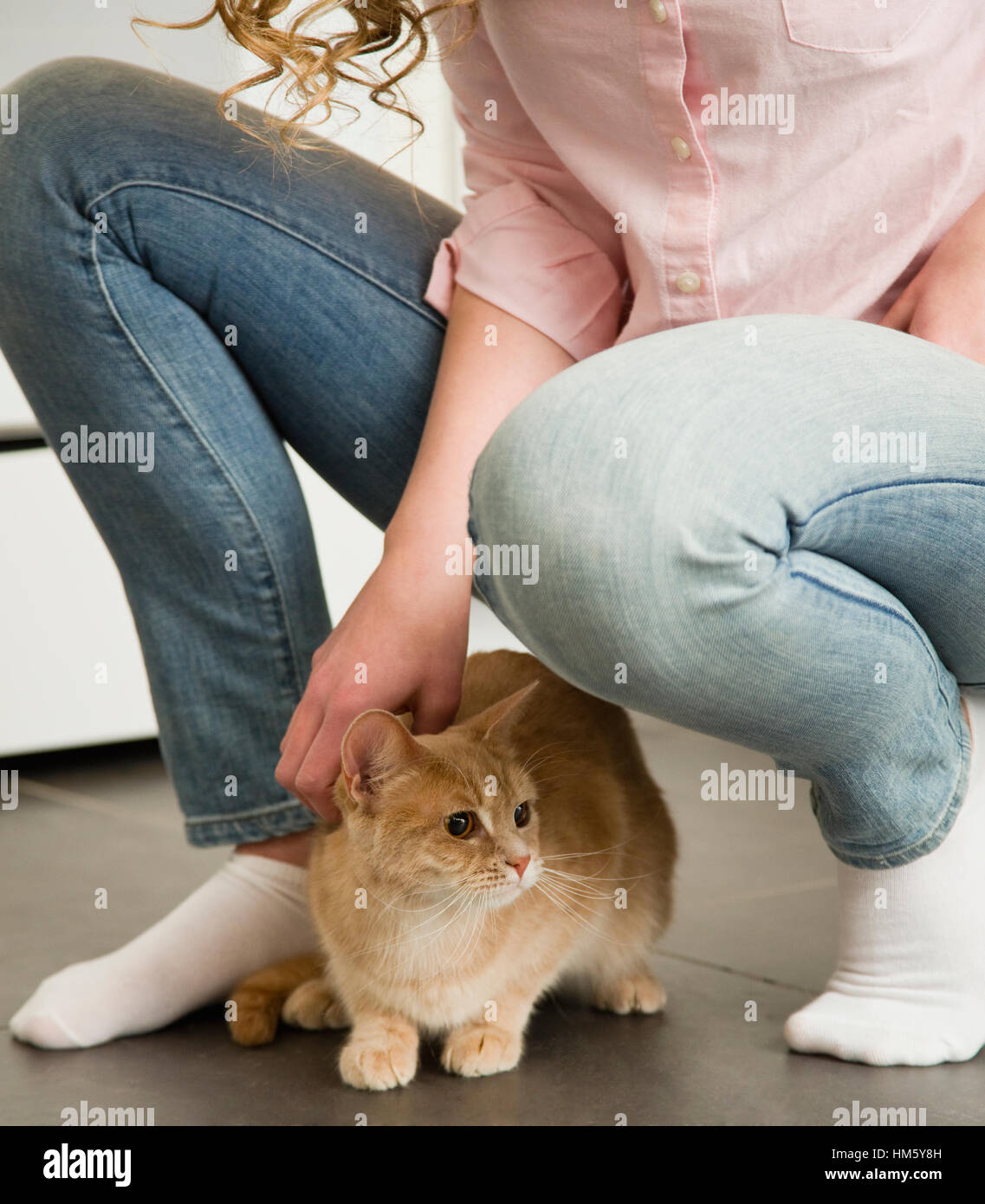 Teenage girl (16-17) crouching and stroking ginger tabby cat Stock Photo