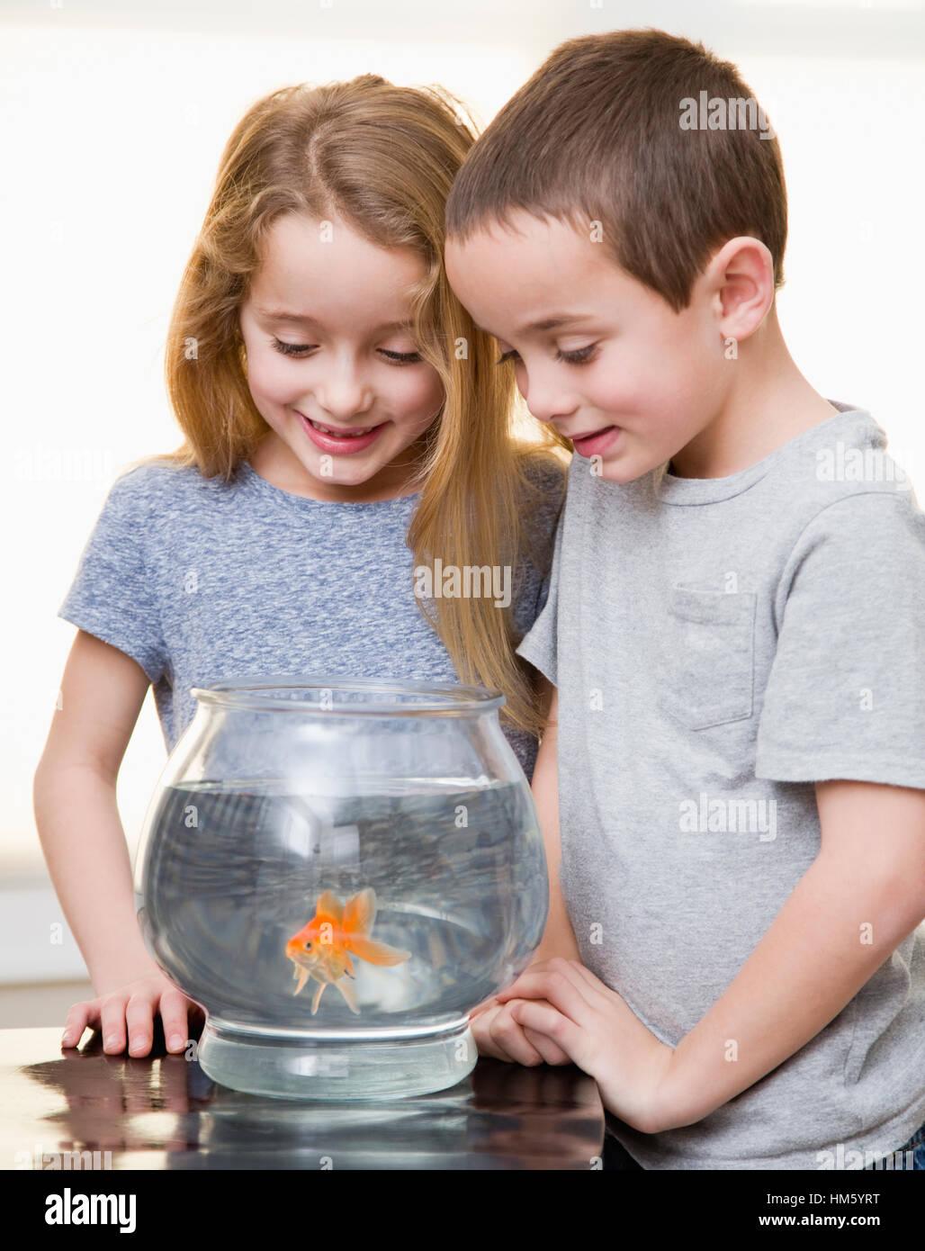 Boy (6-7) and girl (6-7) looking at goldfish in fishbowl Stock Photo