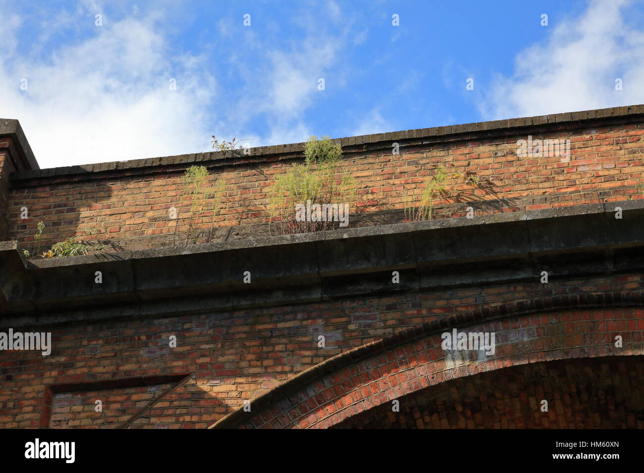 Weed growth on Victorian brick built railway viaduct archways across