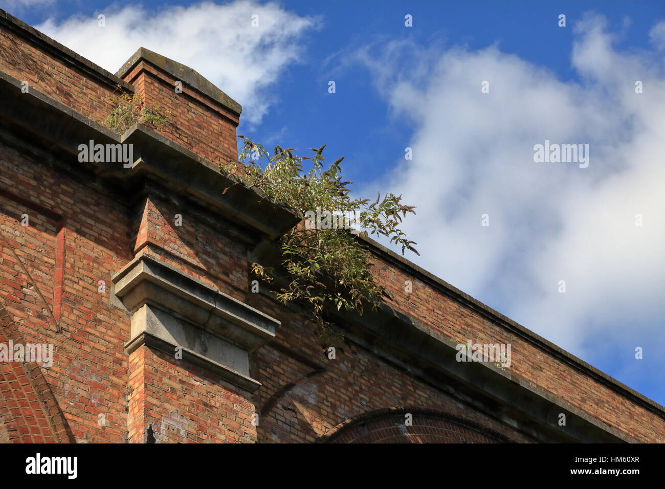 Weed growth on Victorian brick built railway viaduct archways across