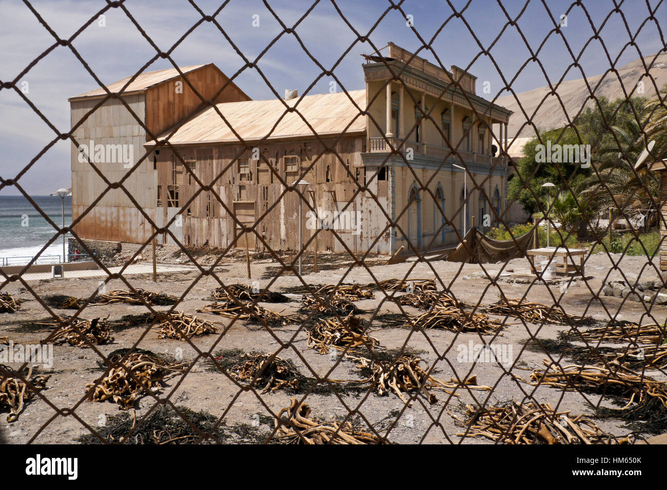 Ruins of Teatro Municipal in isolated coastal town of Pisagua, Atacama