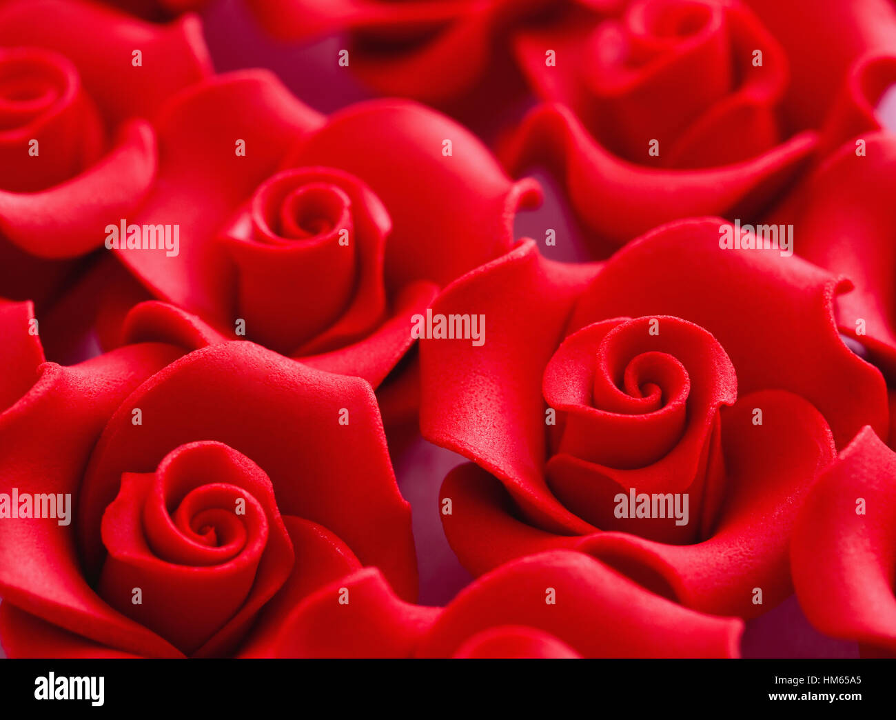 Close up view of red roses Stock Photo