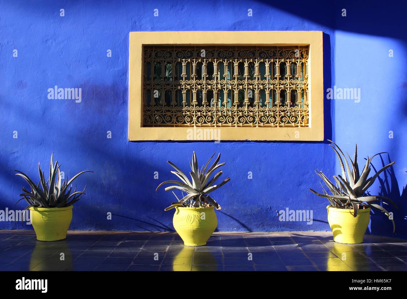 jardin majorelle, in the old town of Marrakech. Blue and dazzling with cacti and various plants. Morocco, North Africa, Arabic garden. Stock Photo
