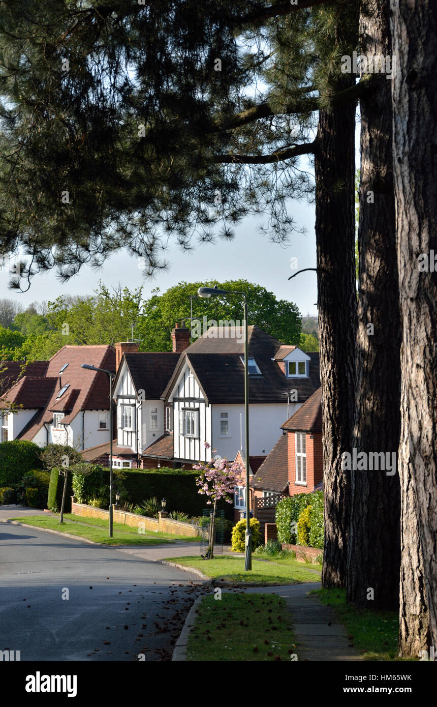 Pine grove hires stock photography and images Alamy