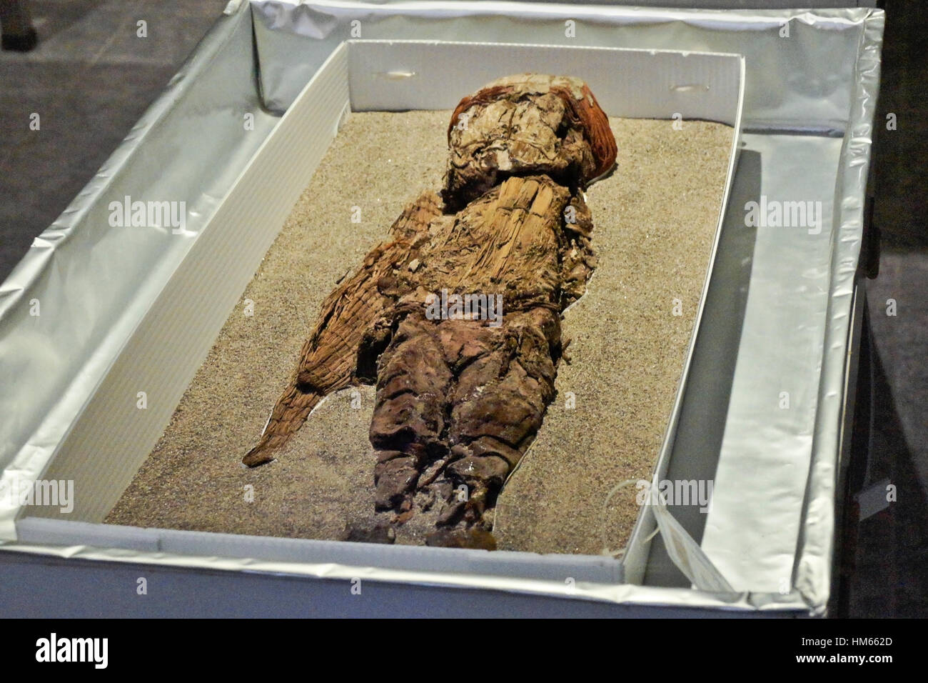 Chinchorro Mummy at San Miguel de Azapa Archaeological Museum, Arica, Chile Stock Photo