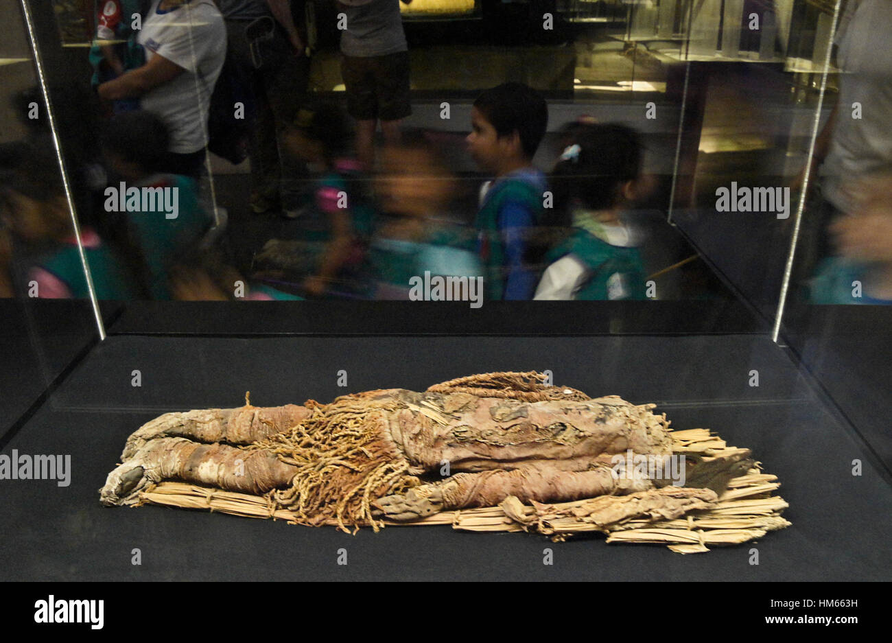 Chinchorro Mummy at San Miguel de Azapa Archaeological Museum, Arica, Chile Stock Photo