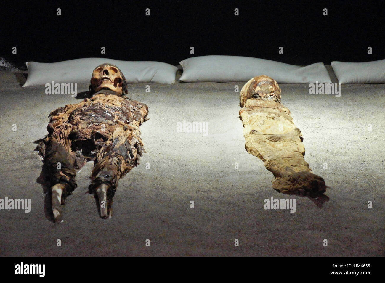 Chinchorro Mummies at San Miguel de Azapa Archaeological Museum, Arica, Chile Stock Photo