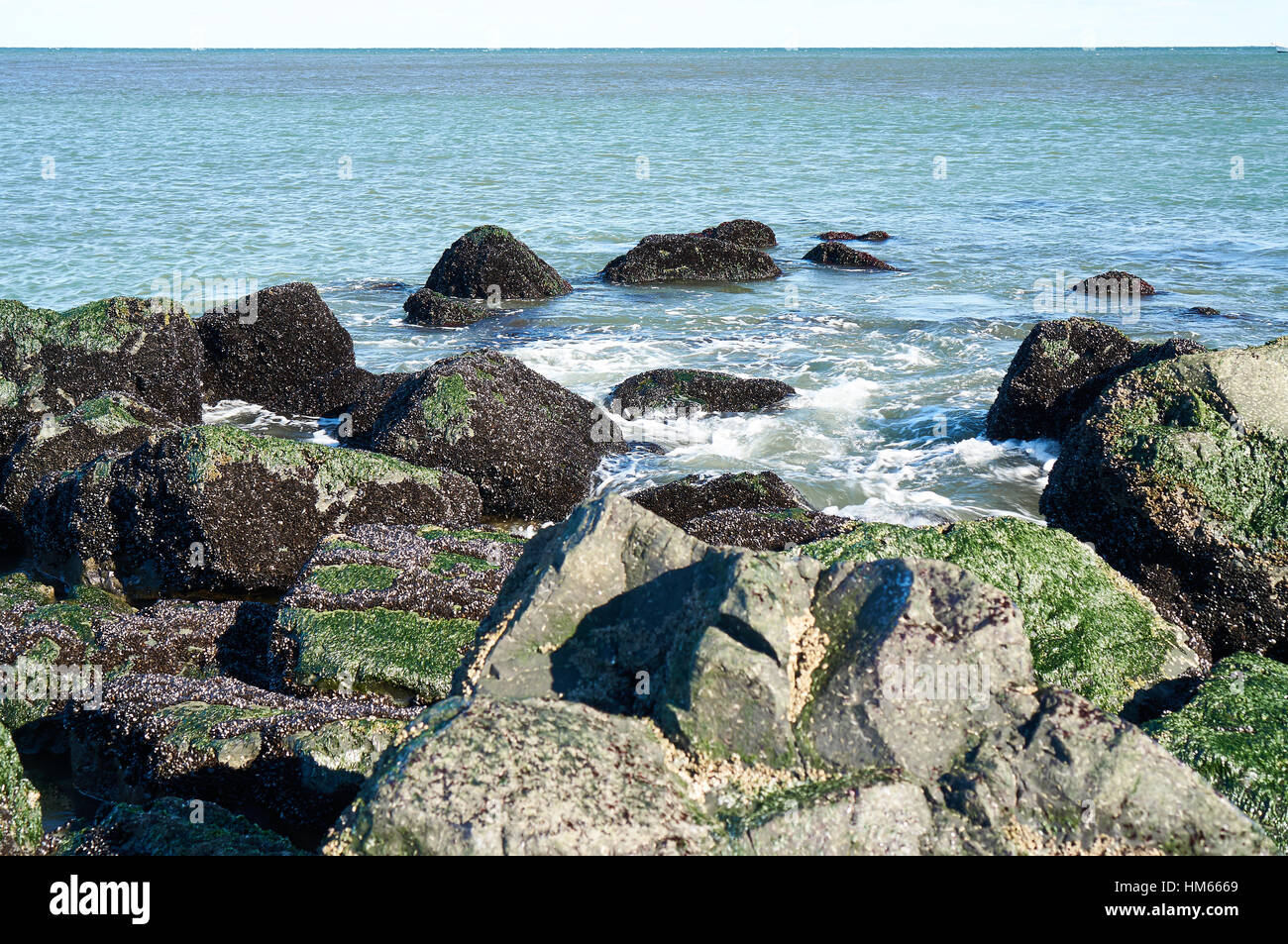 wave water rushing between shoreline rocks covered with algae with ...