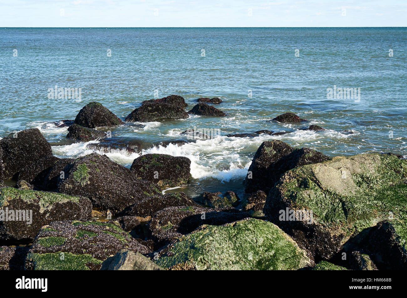 tide water rushing between shoreline rocks covered with algae with ...