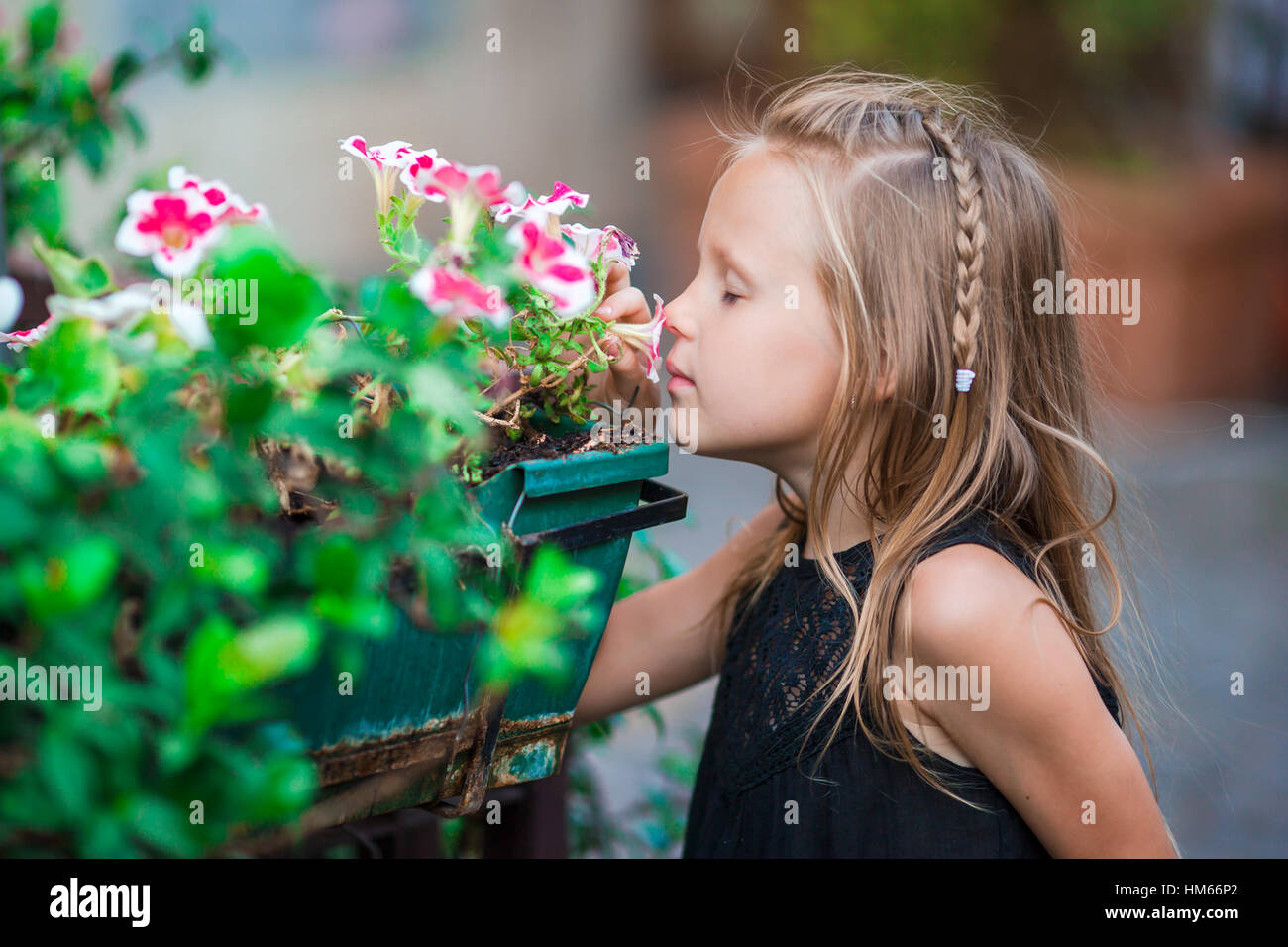 Little adorable girl smelling colorful flowers outdoors Stock Photo - Alamy