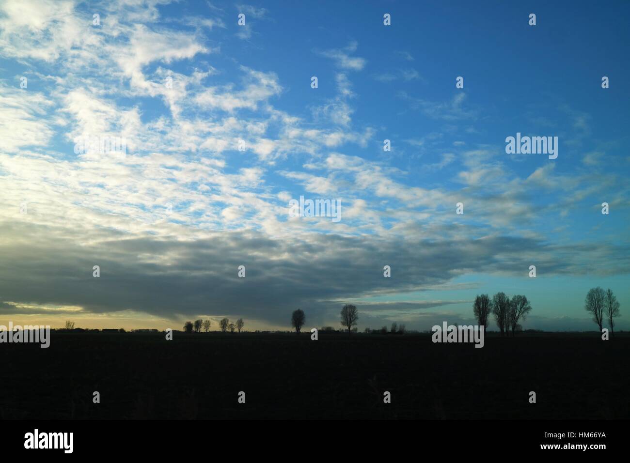 trees in the distance with a cloudy sky Stock Photo - Alamy
