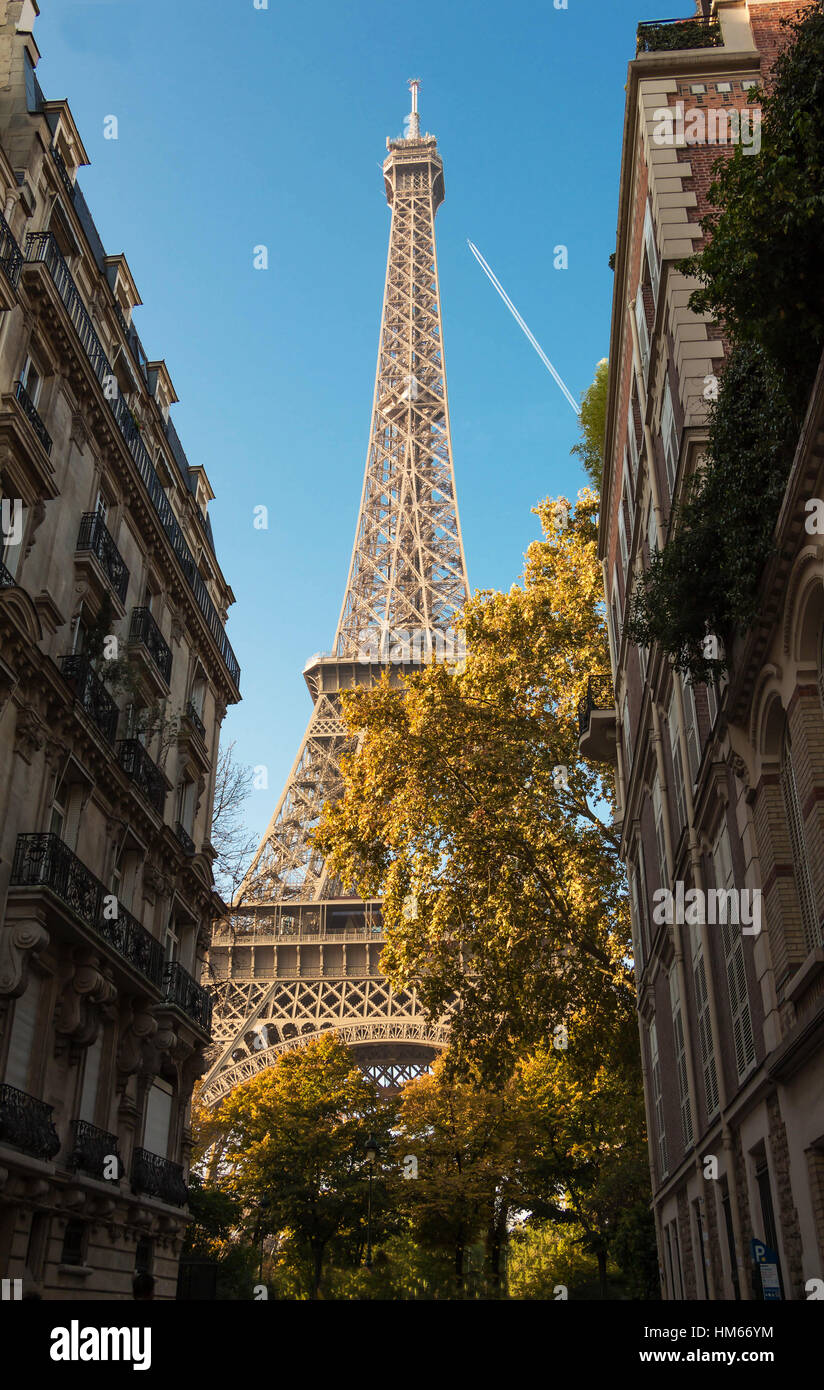 The Eiffel tower is one of the most visited monuments in the world