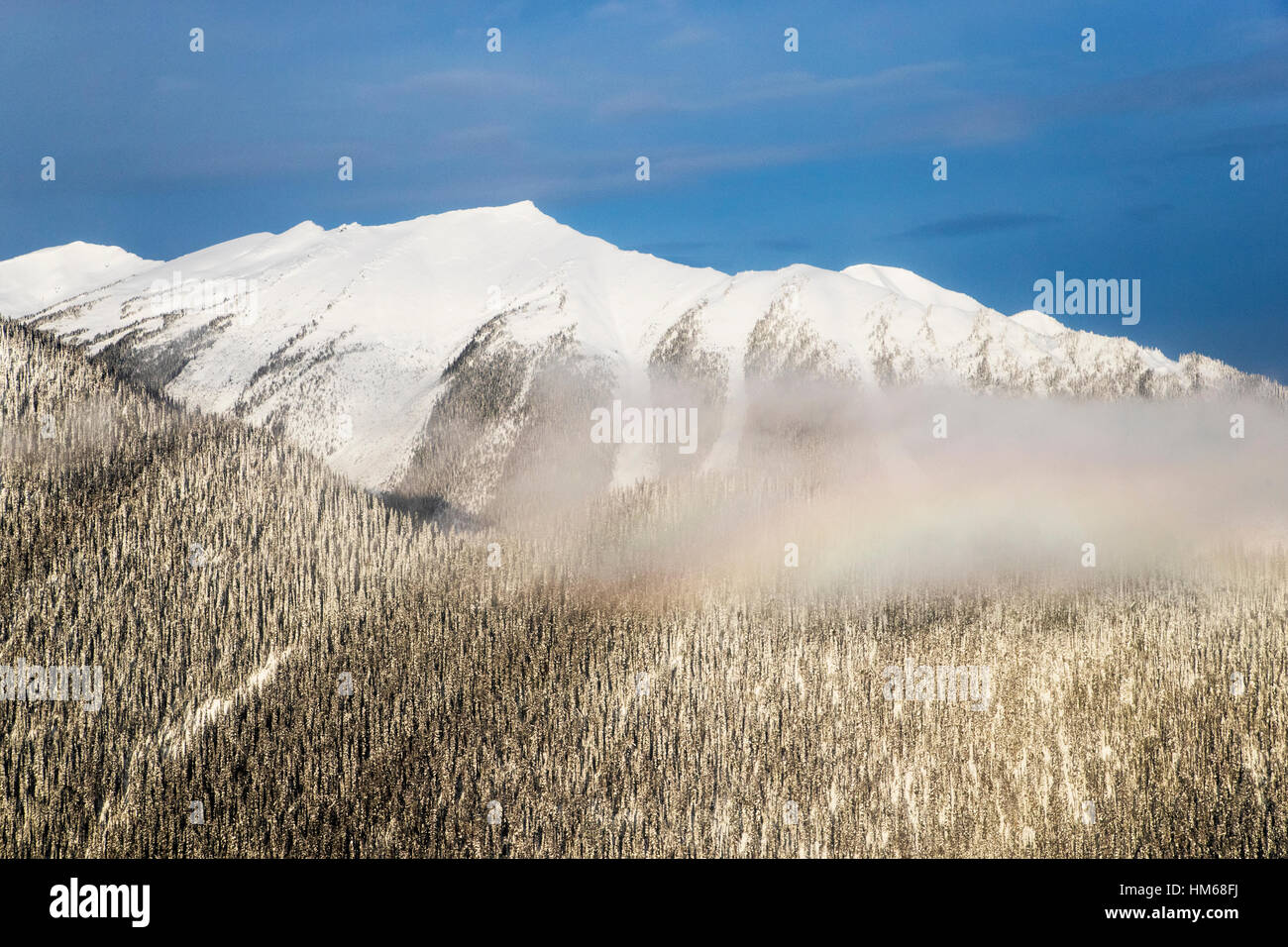 Aerial winter view of Esplanade Range; sub-range of Selkirk Range; British Columbia; Canada Stock Photo