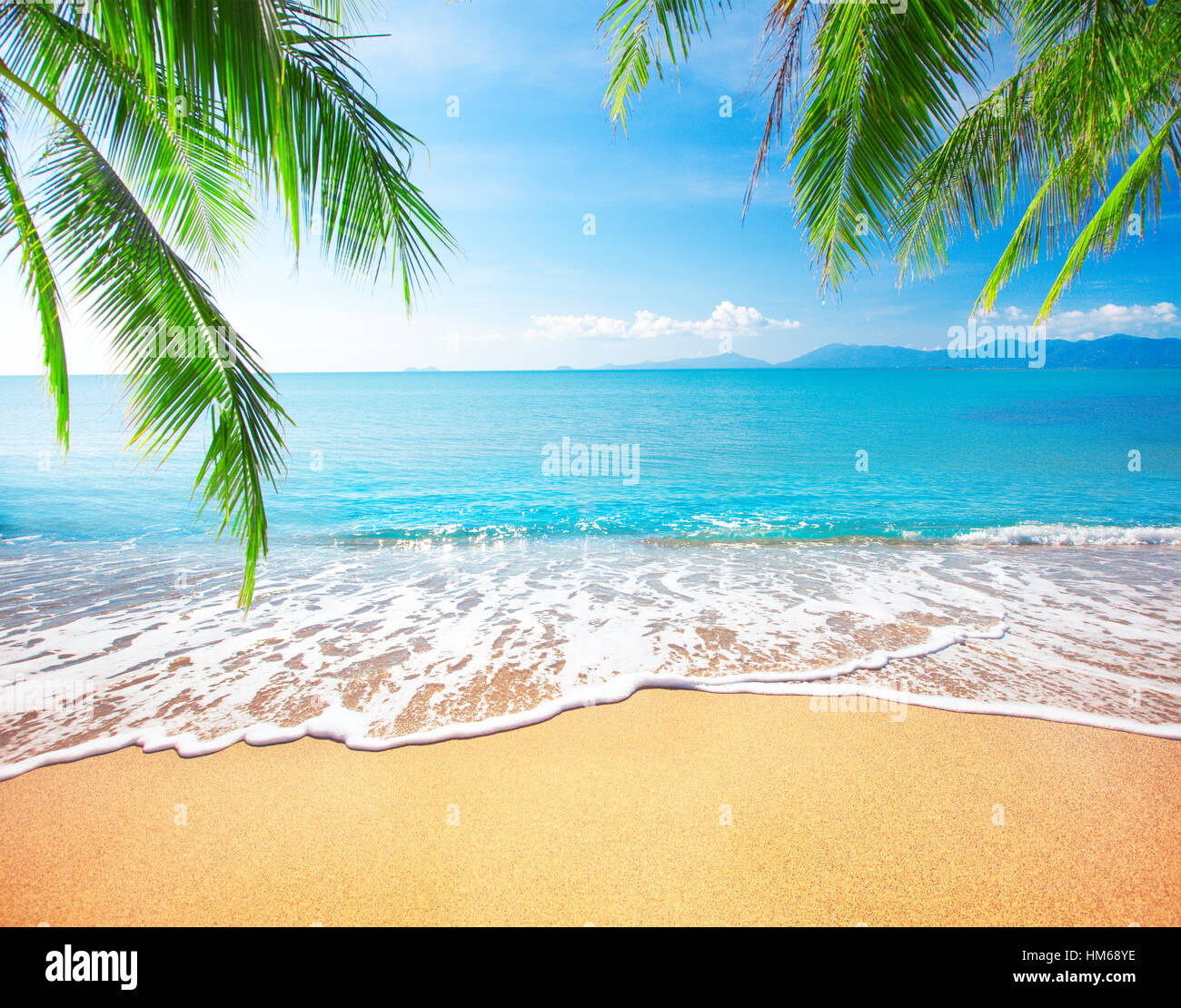 Palm and tropical beach Stock Photo - Alamy