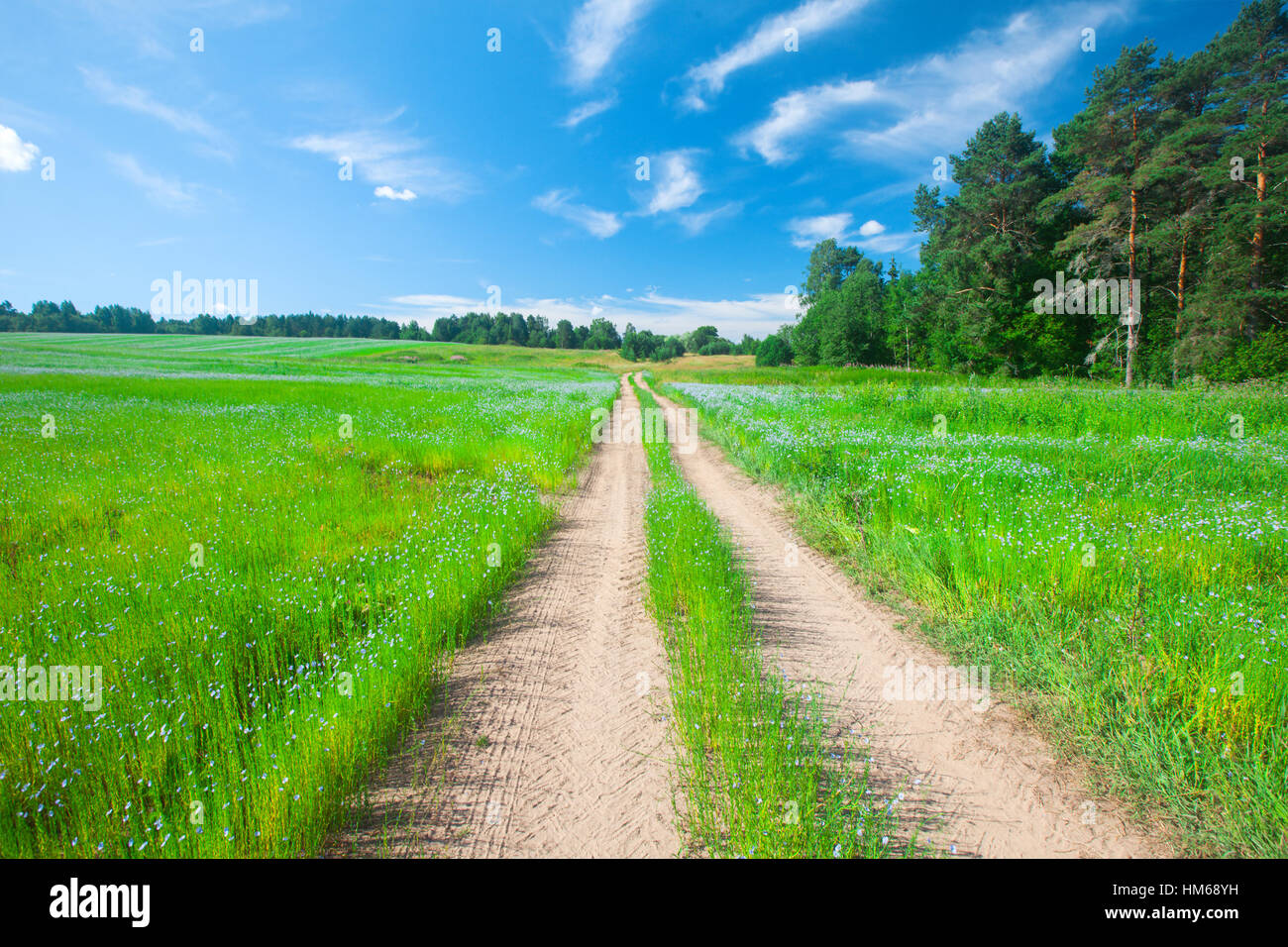 beautiful field and road Stock Photo - Alamy