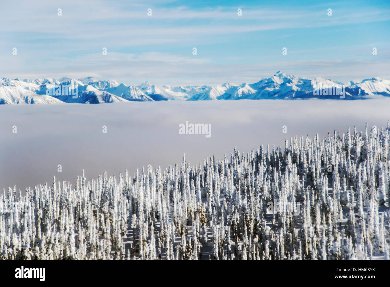 Aerial winter view of Esplanade Range; sub-range of Selkirk Range; British Columbia; Canada Stock Photo