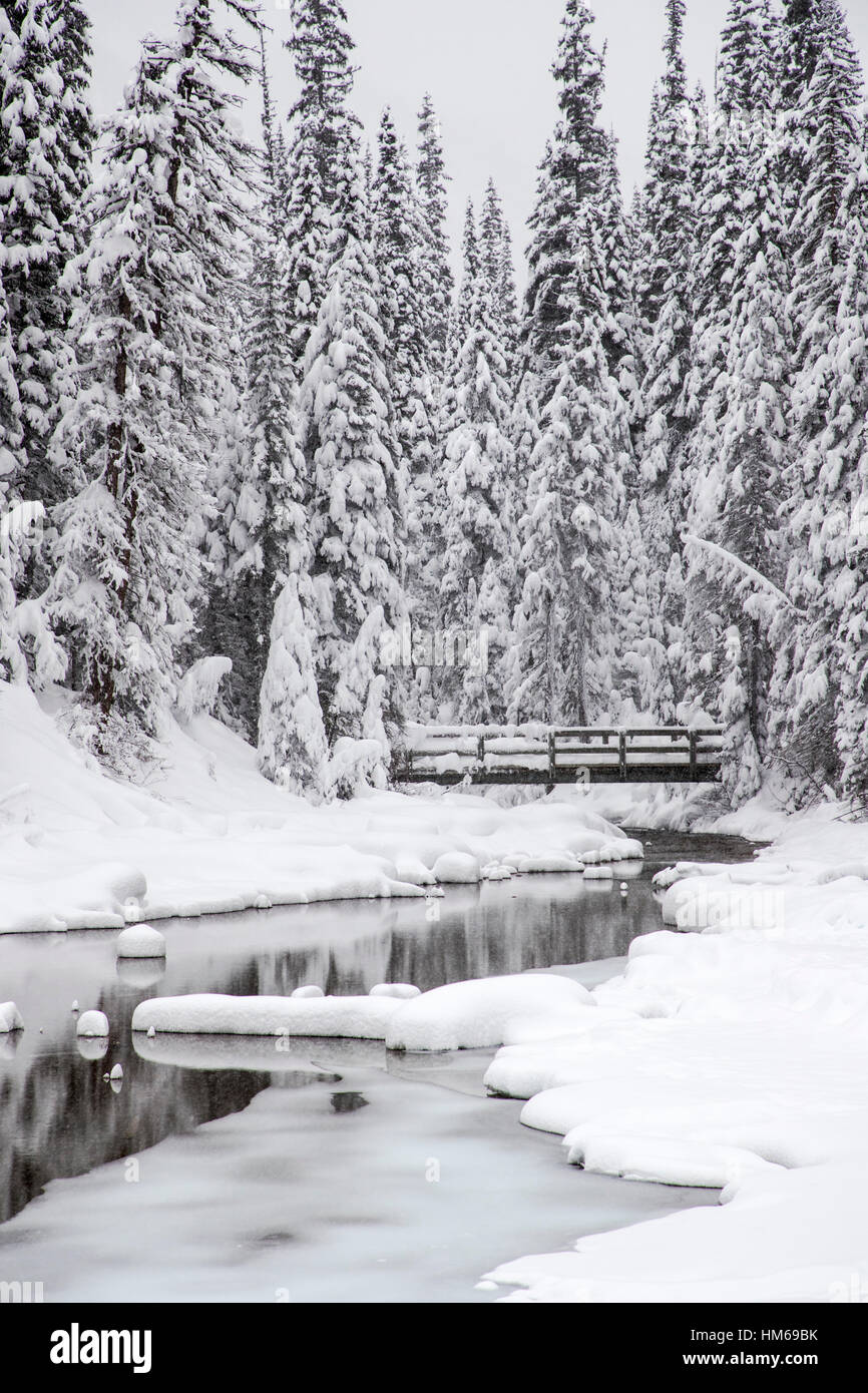 Snowy winter landscape & wooden pedestrian bridge; Emerald Lake; Yoho National Park; British Columbia; Canada Stock Photo