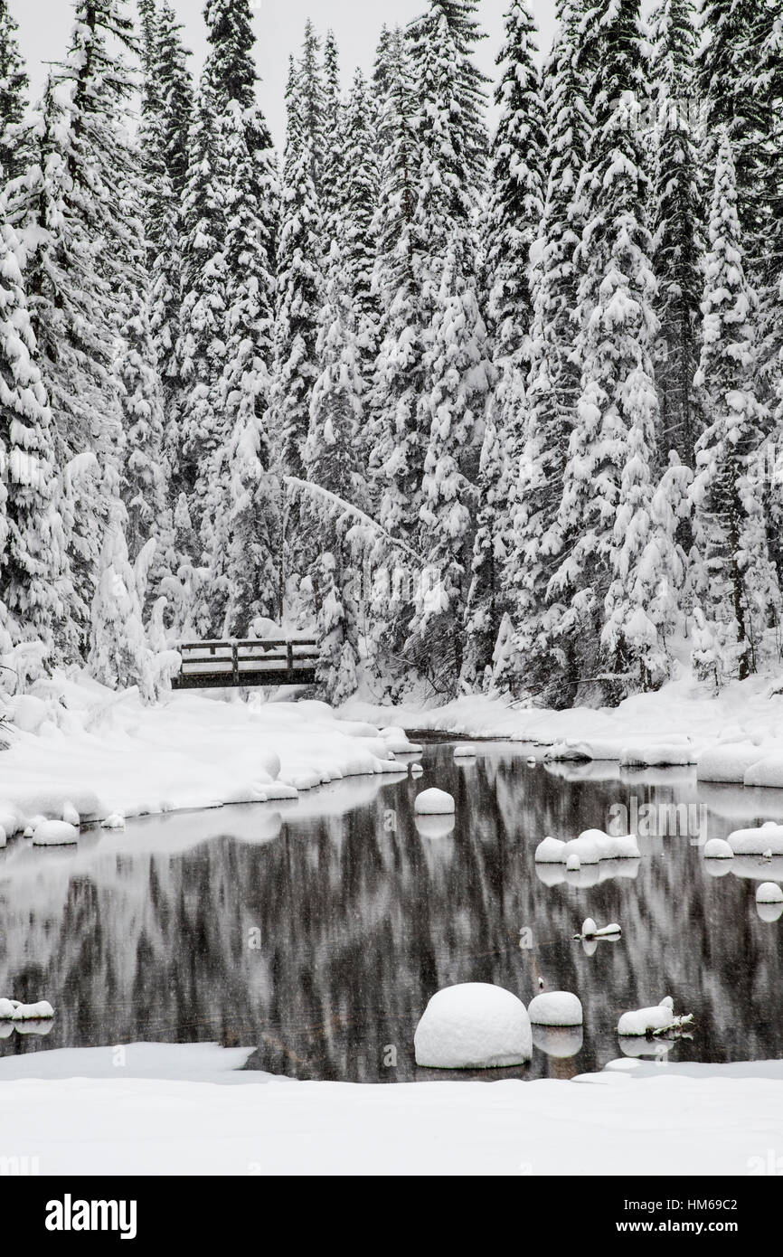 Snowy winter landscape & wooden pedestrian bridge; Emerald Lake; Yoho National Park; British Columbia; Canada Stock Photo